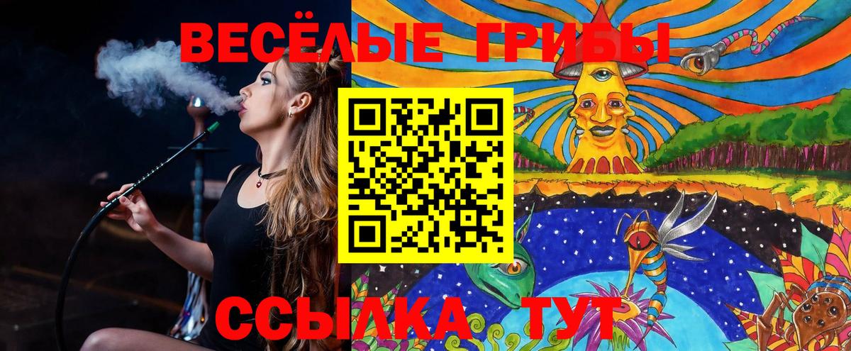 Галлюциногенные грибы MAGIC MUSHROOMS Павловский Посад